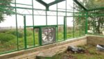 Alsanfan 1400x1400 - izduvni ventilator i ventilator za farme - Slika 9