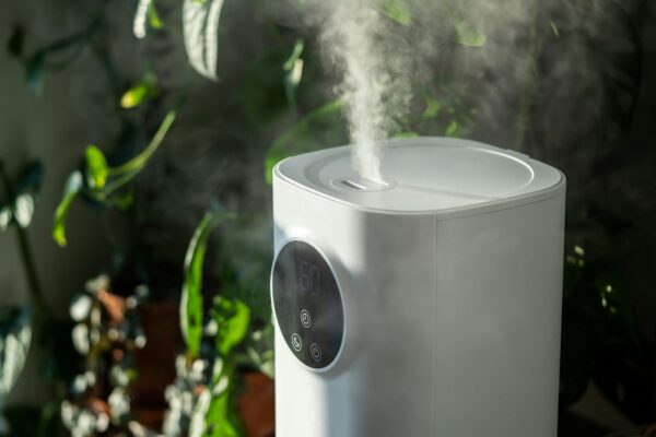 Modern humidifier at home, moistens dry air surrounded by indoor plant. Humidification concept